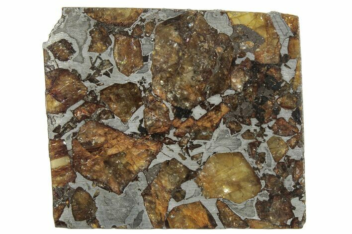 Brahin Pallasite Meteorite ( g) Slice - Belarus #307411